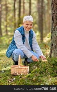 picking season, leisure and people concept - senior woman with basket and mushrooms in autumn forest. senior woman picking mushrooms in autumn forest