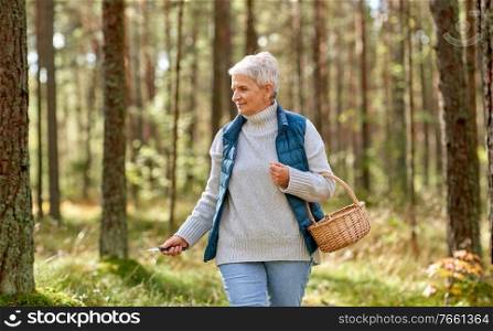 picking season, leisure and people concept - senior woman with basket walking in autumn forest. senior woman picking mushrooms in autumn forest