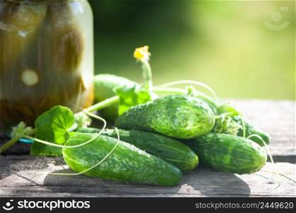 Pickled cucumbers, jars of pickled and fresh cucumbers on a natural background, space for text