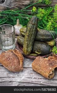 pickled cucumbers. Pickled cucumbers with dill and vodka shot glass on wooden background in country style.Photo tinted.Selective focus