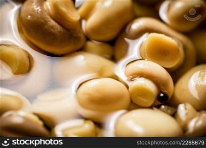 Pickled mushrooms in brine. Macro background. Texture of pickled mushrooms. High quality photo. Pickled mushrooms in brine. Macro background.