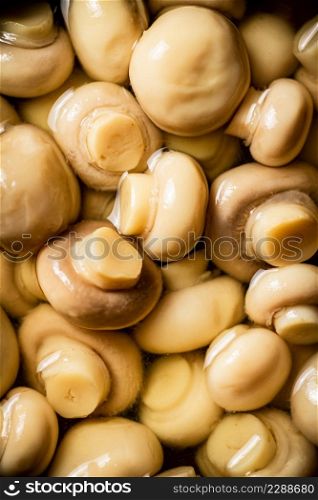 Pickled mushrooms in brine. Macro background. Texture of pickled mushrooms. High quality photo. Pickled mushrooms in brine. Macro background.