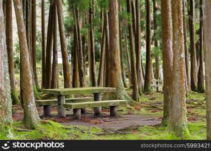 Picnic area in forest with table and benches near Furnas, Azores&#xA;