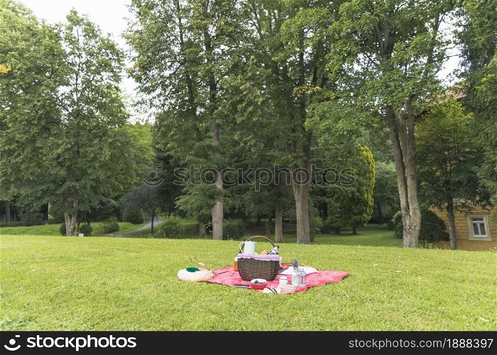 picnic basket grass field . Resolution and high quality beautiful photo. picnic basket grass field . High quality and resolution beautiful photo concept