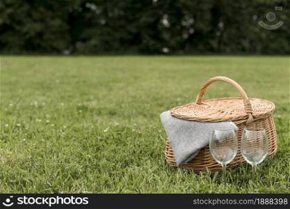 picnic basket park grass . Resolution and high quality beautiful photo. picnic basket park grass . High quality and resolution beautiful photo concept