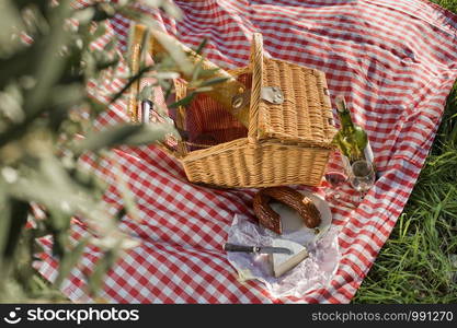 Picnic basket with food and drinks in summer