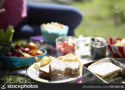Picnic Food Laid Out On Blanket
