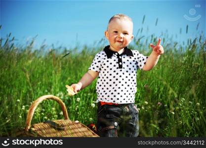 picnic on green grass boy and basket