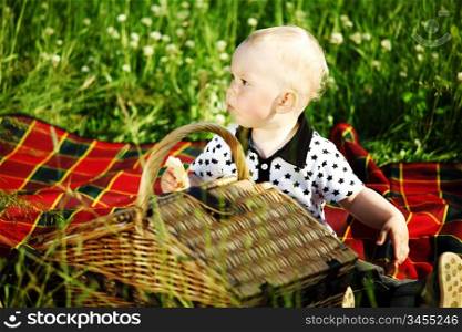picnic on green grass boy and basket