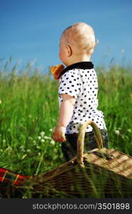 picnic on green grass boy and basket