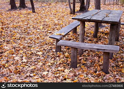 Picnic place at autumn forest