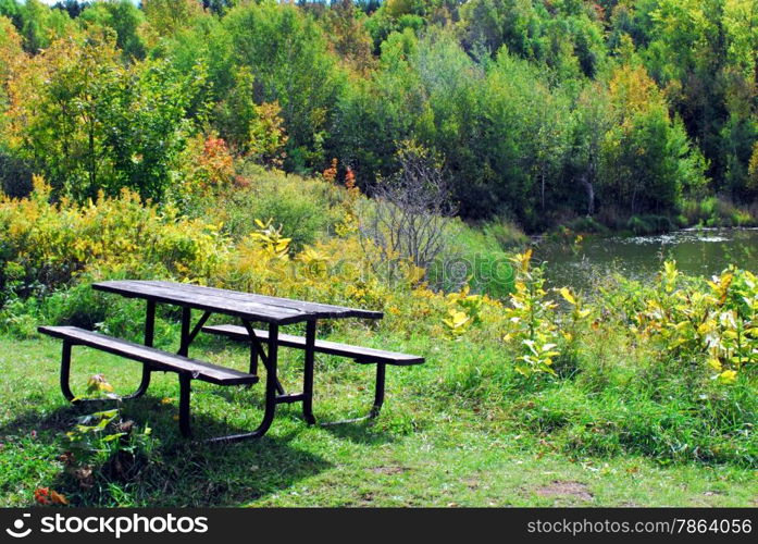 Picnic table in bushes by green forest and lake.