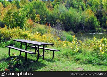 Picnic table in bushes by green forest and lake.
