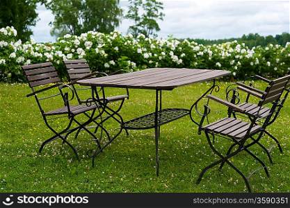 Picnic table on a meadow