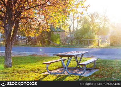 Picnic table on the grass