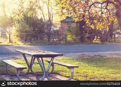Picnic table on the grass