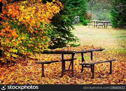 Picnic table with autumn leaves