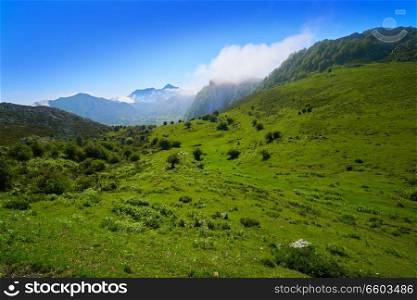 Picos de Europa mountains in Asturias of Spain
