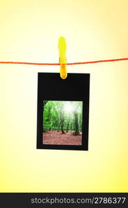 Picture frames with nature photos