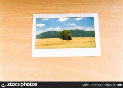Picture frames with nature photos