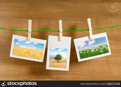 Picture frames with nature photos