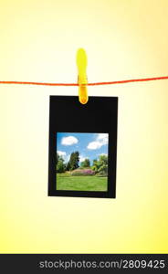 Picture frames with nature photos