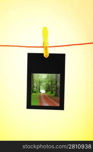 Picture frames with nature photos