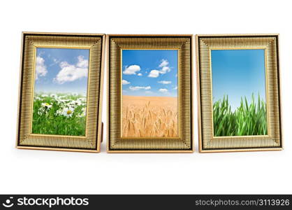 Picture frames with nature photos