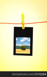 Picture frames with nature photos