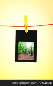 Picture frames with nature photos