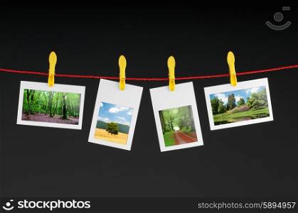 Picture frames with nature photos