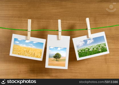 Picture frames with nature photos