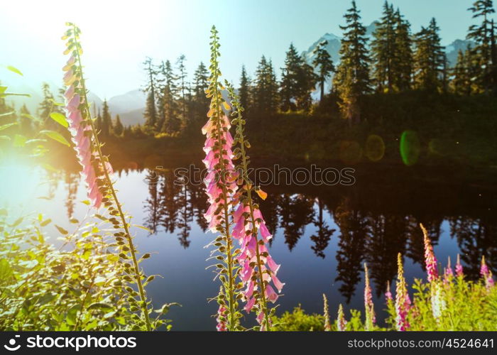 Picture lake and mount Shuksan, Washington