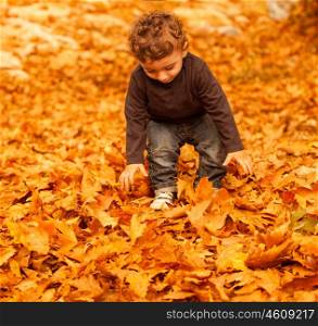 Picture of adorable kid playing game with dry autumnal leaves in forest, pretty infant enjoying autumn holidays, nice toddler having fun on backyard, carefree childhood, happines concept&#xA;&#xA;