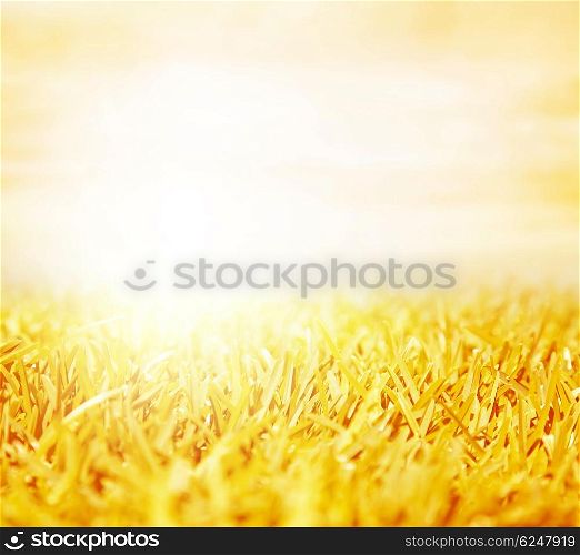 Picture of beautiful golden wheat field with bright sun shine, abstract autumn natural background, agriculture landscape, rye meadow with vibrant morning sun light, grain harvest season
