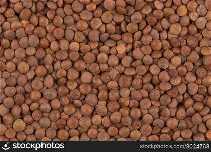 Picture of brown lentils over flat surface for background