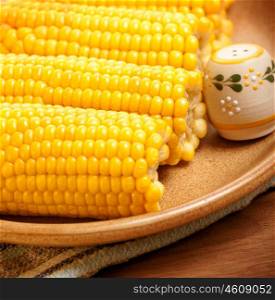 Picture of cooked corncob with saltshaker on the plate in kitchen, breakfast meal, vegetable snack, boiled sweetcorn with salt and butter, healthy nutrition, organic food, diet concept