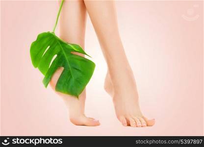 picture of female feet with green leaf over beige background