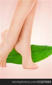 picture of female legs with green leaf over beige background