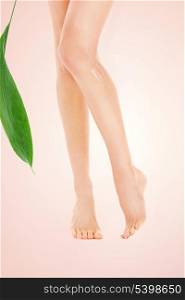 picture of female legs with green leaf over beige background