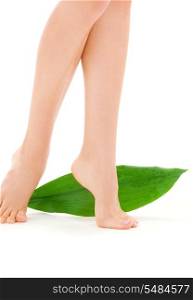 picture of female legs with green leaf over white