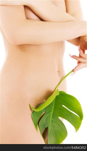 picture of female torso with green leaf over white