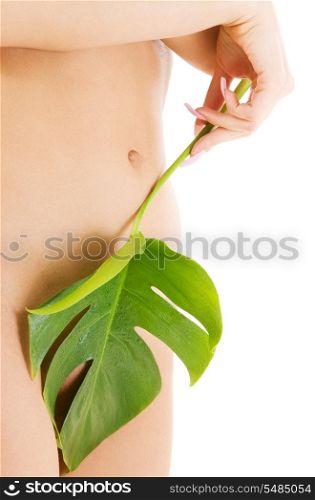 picture of female torso with green leaf over white