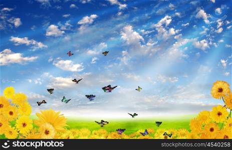 picture of flowers and meadow and blue sky with sun shining
