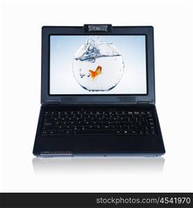 picture of gold fish and laptop computer
