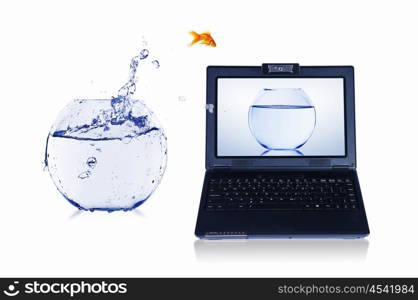 picture of gold fish and laptop computer