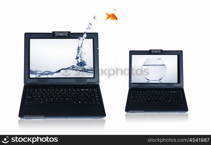 picture of gold fish and laptop computer