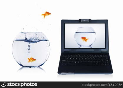 picture of gold fish and laptop computer