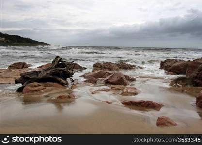 Picture of Heavily Overcastted Beachfront with Large Wood Stump