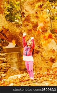 Picture of little cute girl play in autumn park, adorable sweet kid throwing up old dry leaves and laughing, nice small female child enjoy fall nature, seasonal falling leaf, happiness concept&#xA;